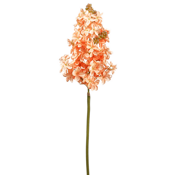Park Place - 12 Piece Lilac Stem 19" Coral
