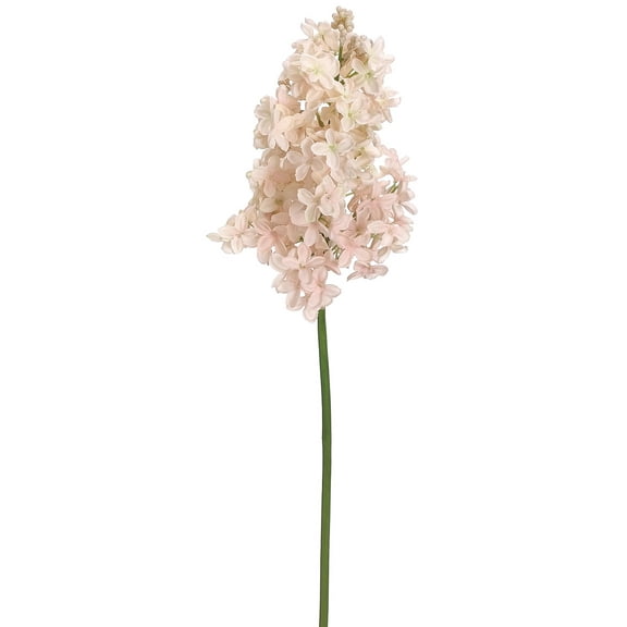 Park Place - 12 Piece Lilac Stem 19" Pink