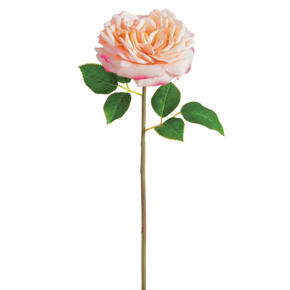 Park Place - 12 Piece Open Cabbage Rose Spray 20" Pink