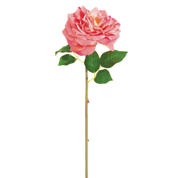 Park Place - 12 Piece Open Cabbage Rose Stem 20" Rose