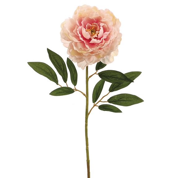 Park Place - 12 Piece Peony Stem 29" Rose