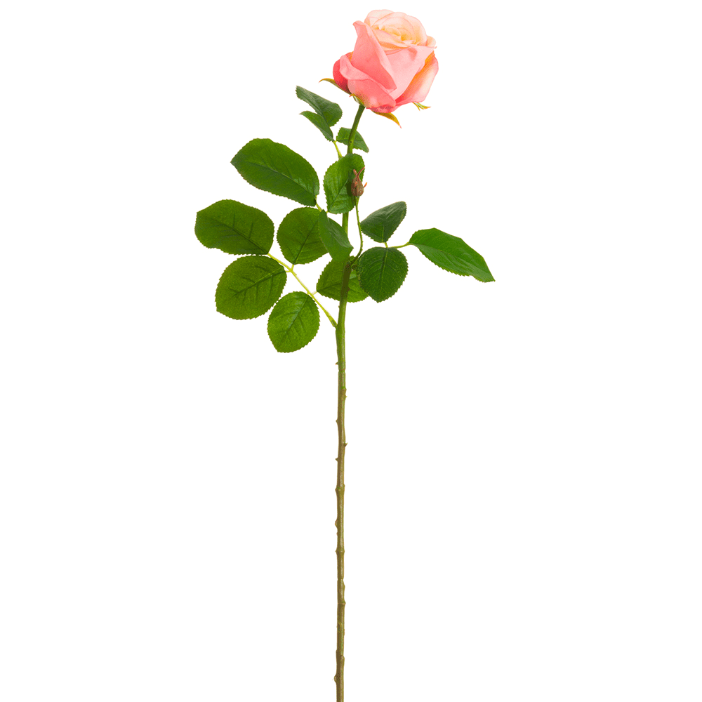Park Place - 12 Piece Rose Stem 27" Peach