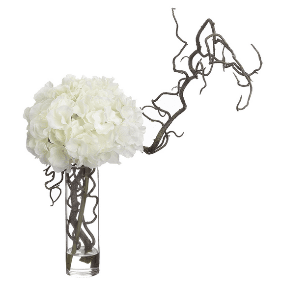 Park Place 18"Hx11"Wx16"L Hydrangea/ Curly Willow in Glass Vase