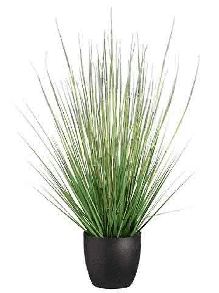 Park Place 34" Grass/Horse Tail Bush in Pot