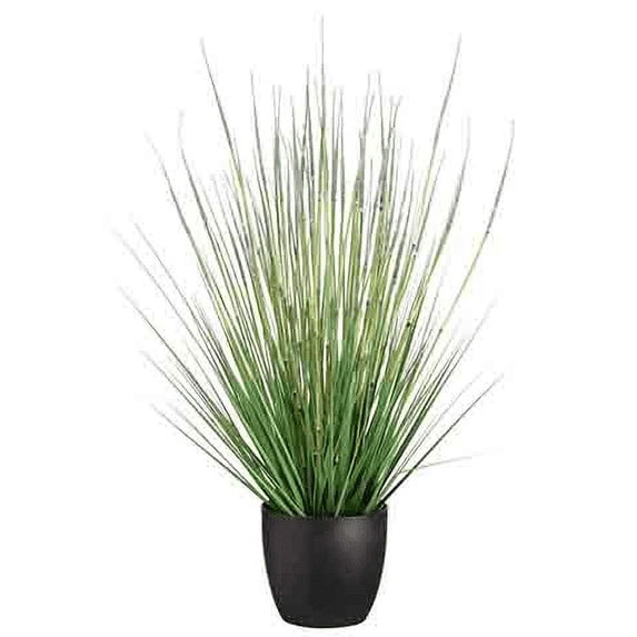 Park Place 34" Grass/Horse Tail Bush in Pot