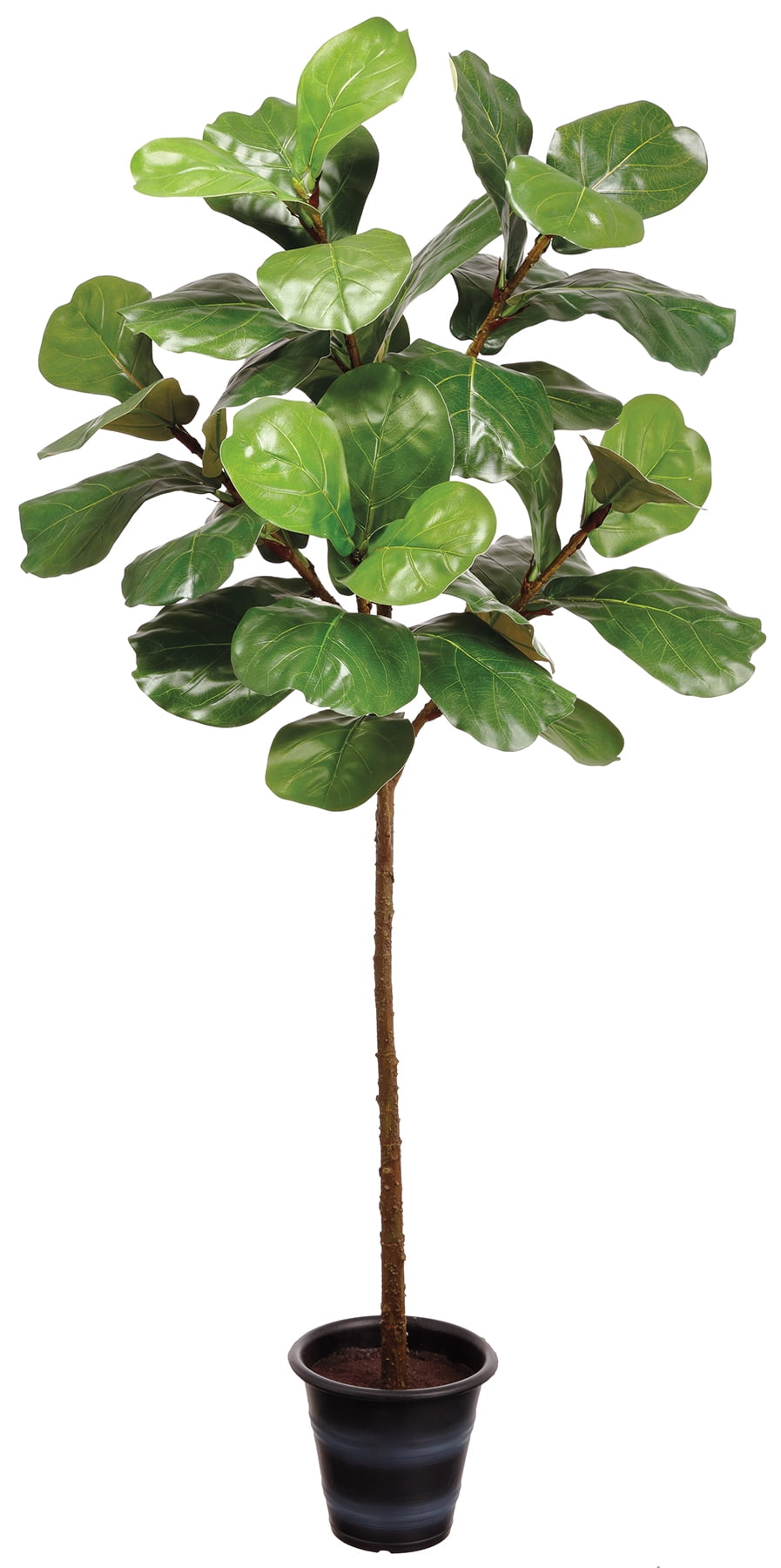 Park Place 63" Fiddle Leaf Tree in Plastic Pot