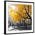thumbnail image 1 of Art.com Park Pretty II Photographic Print by Assaf Frank, Black Frame Wall Art, 29" x 29", 1 of 4