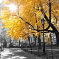 thumbnail image 1 of Park Pretty II, Scenic Seasons Unframed Photographic Print Wall Art by Assaf Frank Sold by ArtCom, 1 of 4