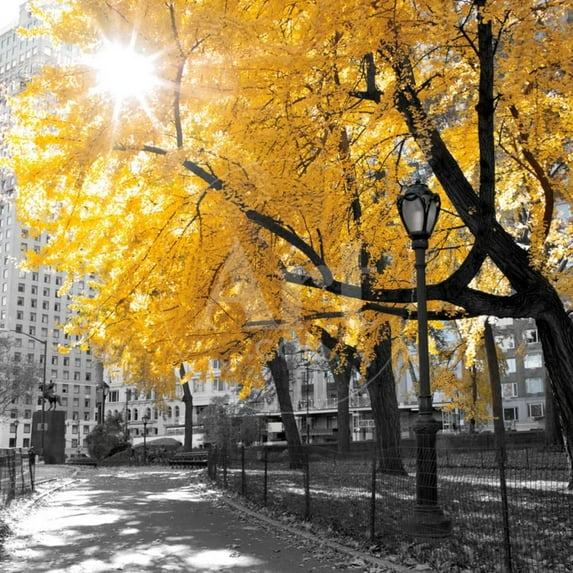 Park Pretty II, Scenic Seasons Unframed Photographic Print Wall Art by Assaf Frank Sold by ArtCom