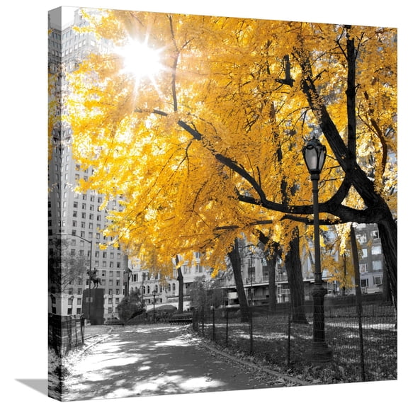 Art.com Park Pretty II Stretched Canvas Print Wall Art by Assaf Frank, 24" x 24"