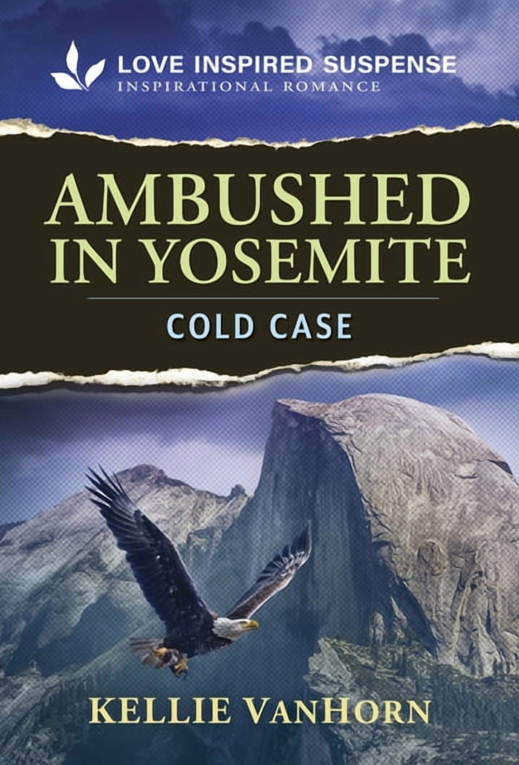 Ambushed in Yosemite, (Park Ranger Agents Book 1)
