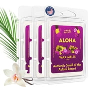 Park Scents Aloha   Hawaii Resort Theme Park Hotel Inspired Luxury Candle Wax Melts   Coconut, Pineapple, Tropical Florals & Vanilla Wax Cubes   Birthday Gifts for Women, Sister, Hostess 3 Pack