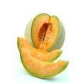 thumbnail image 1 of Park Seed Athena Hybrid Melon Seeds, MVR1&nbsp;High-Yield and Delicious, Pack of 10 Seeds, 1 of 2