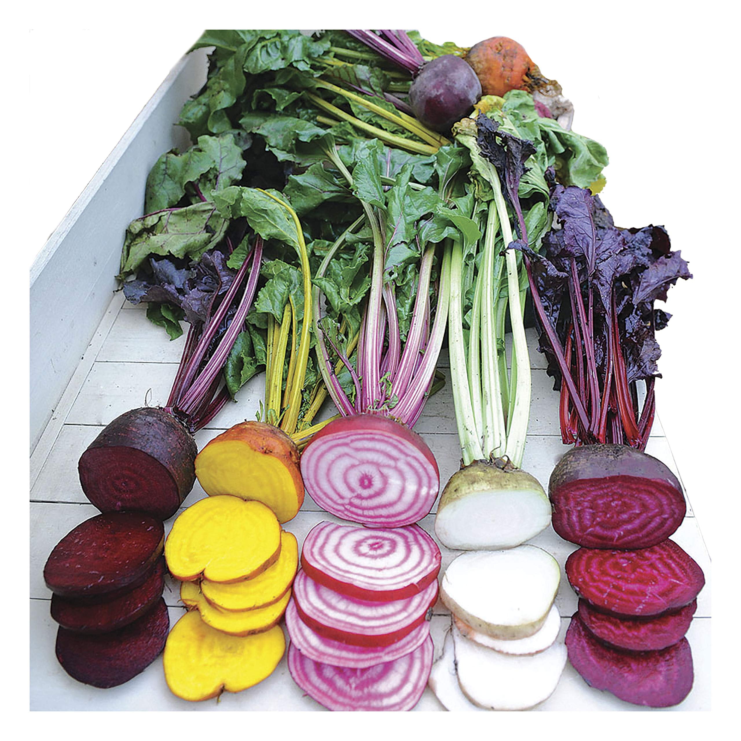 Park Seed Beet Vegatable Plant Seeds, Easy to Grow, Variety of Colors