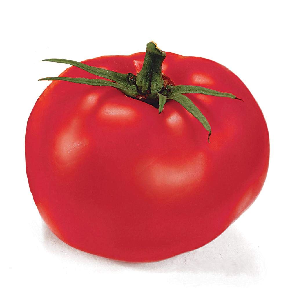 Park Seed Better Boy RE32Hybrid Tomato Seeds Indeterminate Beefsteak Tomato Pack of 30 Seeds