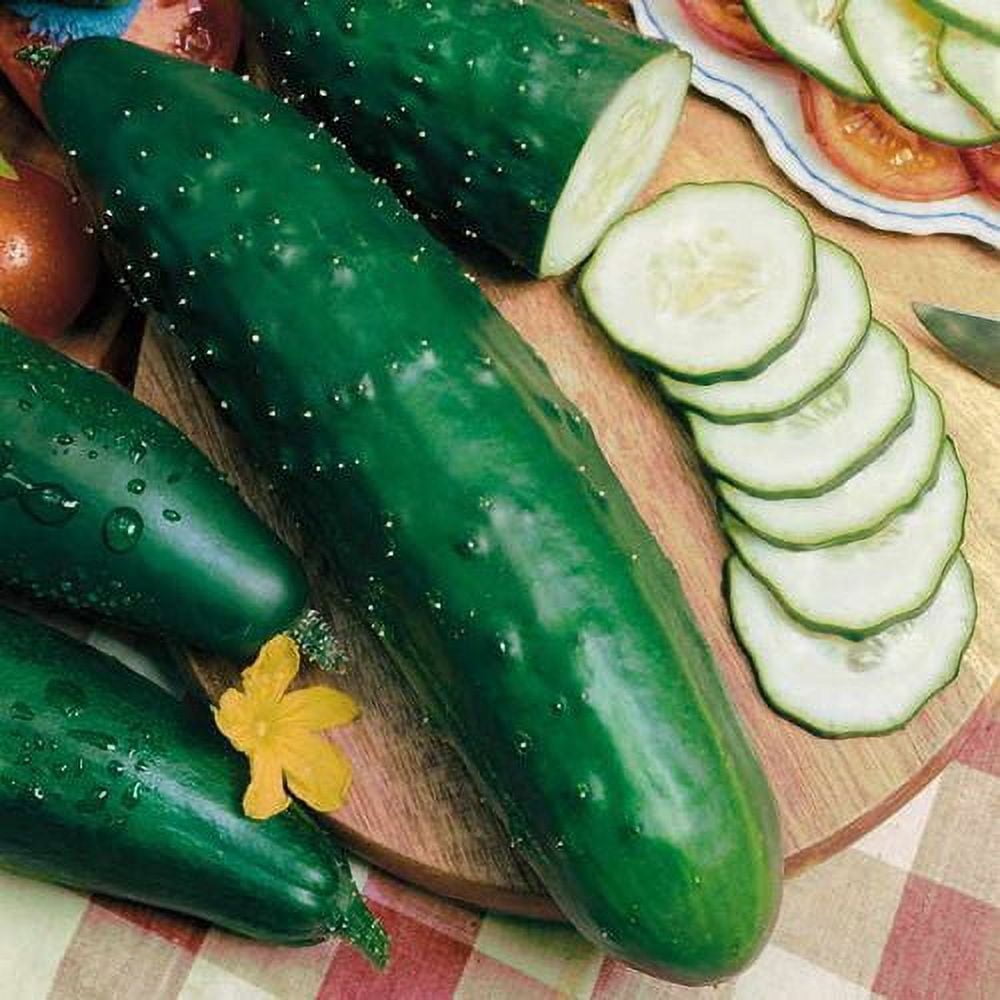 Park Seed Slicer Cucumber Seeds
