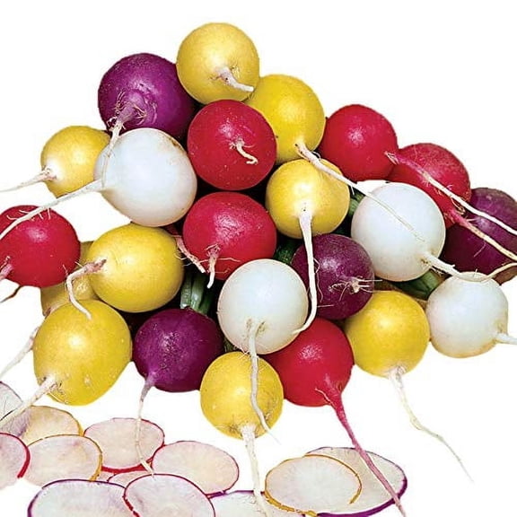 Park Seed Radish Vegatable Plant Seeds, MVR1Easy to Grow, Variety of Colors, Spring Garden, Beauty Blend, Pack of 200