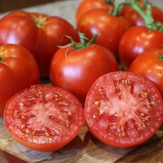 tomato出品 Orange Zinger Tomato 20+ Seeds (Cherry Tomato) Cherry Oval