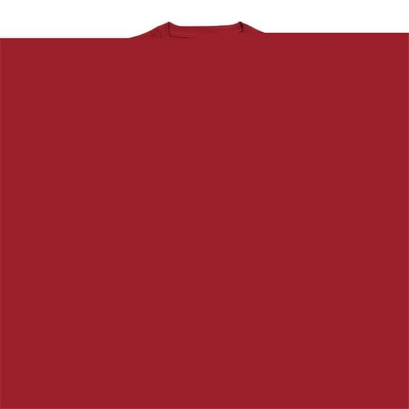 Park University Pirates College Basketball T-Shirt, Cardinal - Extra Large