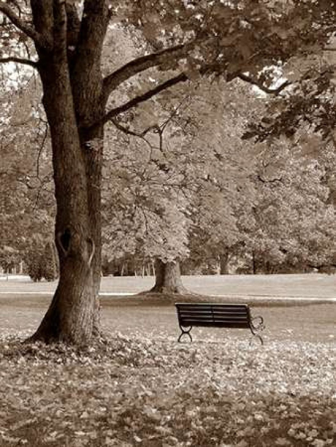 Park View Canvas Art - PhotoINC Studio (18 x 24)