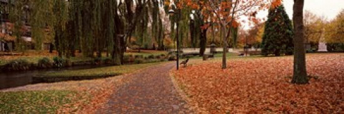 Park at banks of the Avon River Christchurch South Island New Zealand Canvas Art - Panoramic Images (18 x 6)