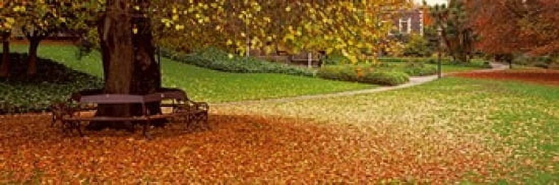 Park at banks of the Avon River Christchurch South Island New Zealand Canvas Art - Panoramic Images (36 x 12)