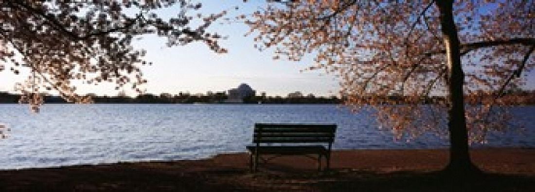 Park bench with a memorial in the background Jefferson Memorial Tidal Basin Potomac River Washington DC USA Canvas Art - Panoramic Images (18 x 7)
