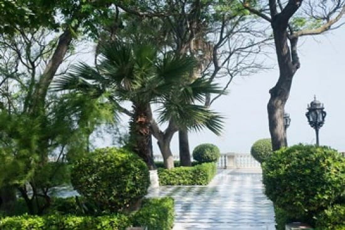 Park in Cadiz Spain Europe Canvas Art - Jan & Stoney Edwards DanitaDelimont (37 x 25)