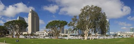 Park in a city Embarcadero Marina Park San Diego California USA 2010 Canvas Art - Panoramic Images (36 x 12)