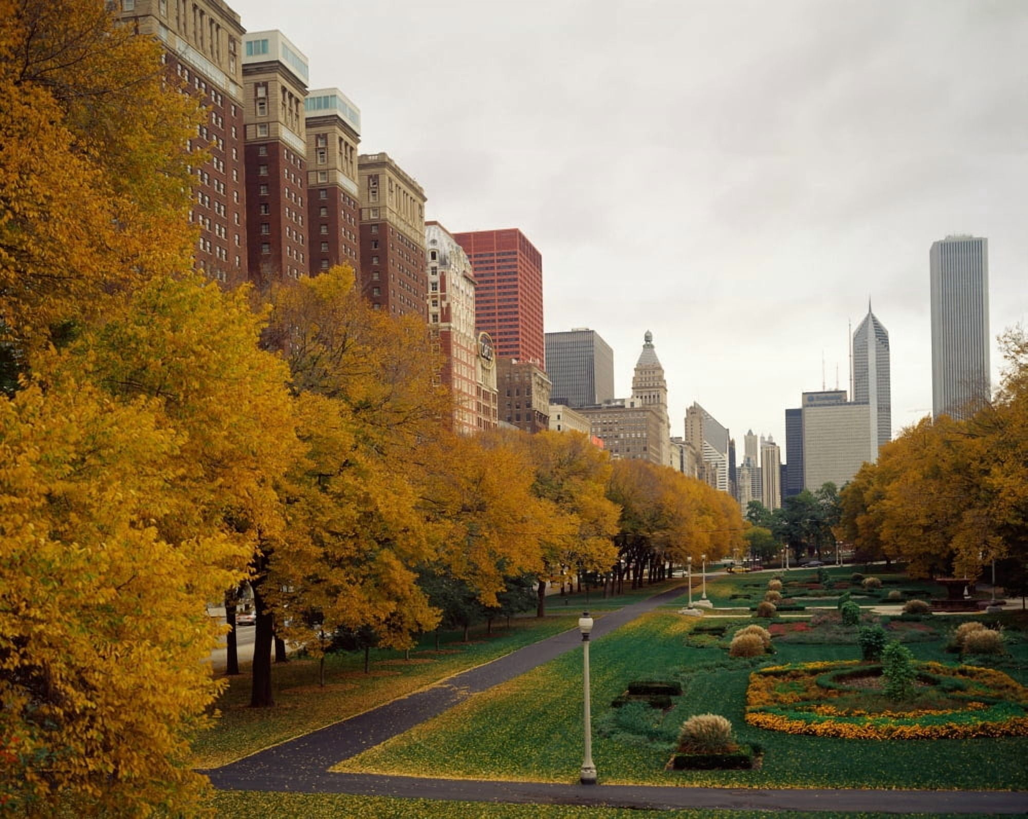 Park in a city Grant Park Michigan Avenue Chicago Cook County Illinois USA Canvas Art - Panoramic Images (12 x 36)