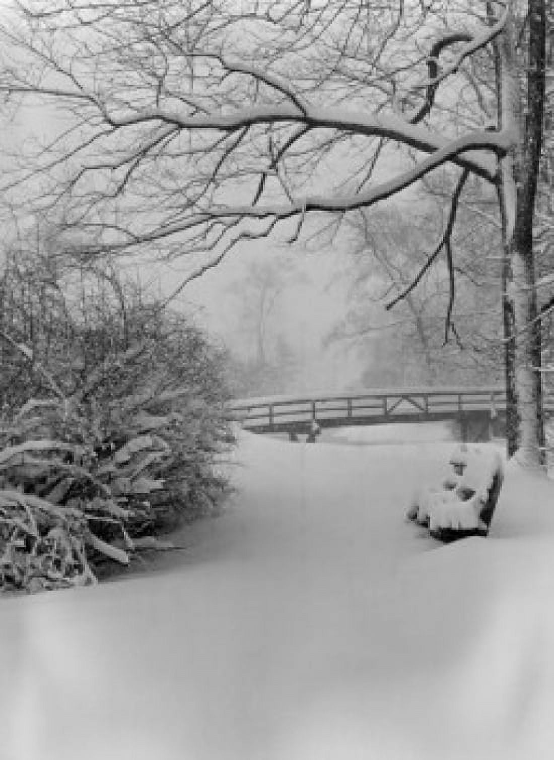 Park in winter Canvas Art - (18 x 24)