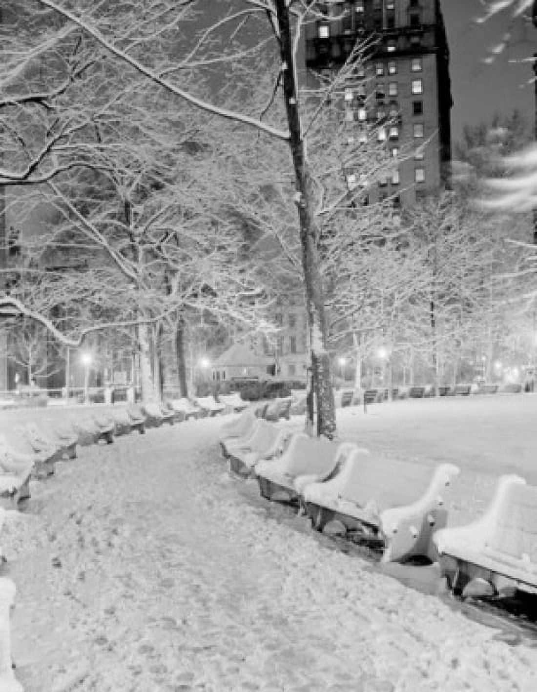 Park in winter Canvas Art - (24 x 36)