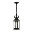 thumbnail image 1 of Parker 1-Light Outdoor Hanging Lantern in Lodge, 1 of 7