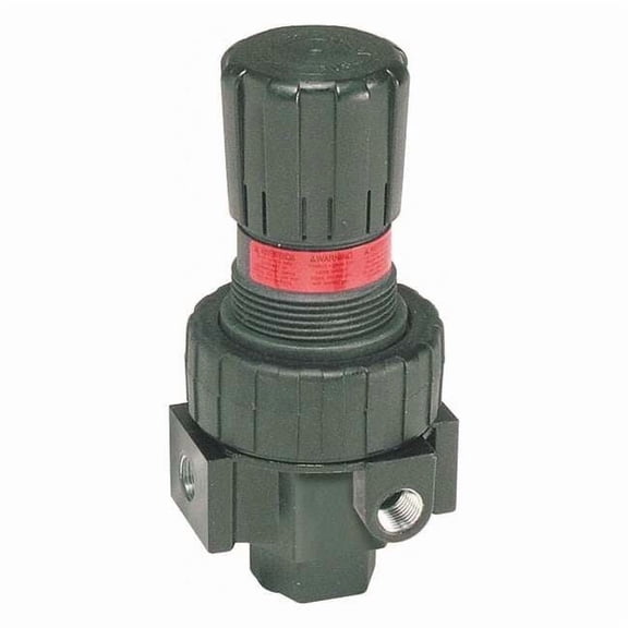 Parker Air Pressure Regulator,Pipe Size 1/4" 06R113AC