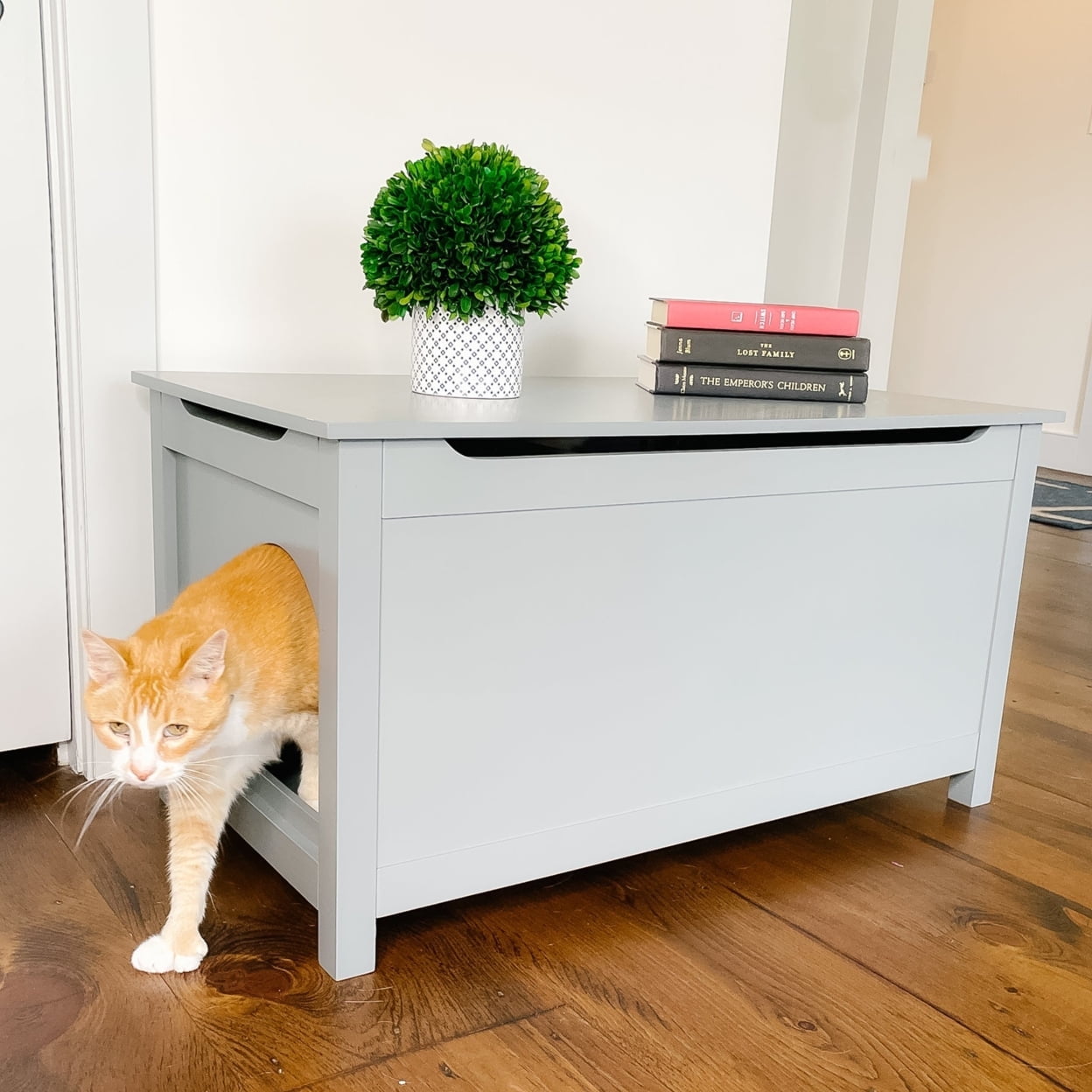 Parker Designer Catbox Litter Box Enclosure in Gray