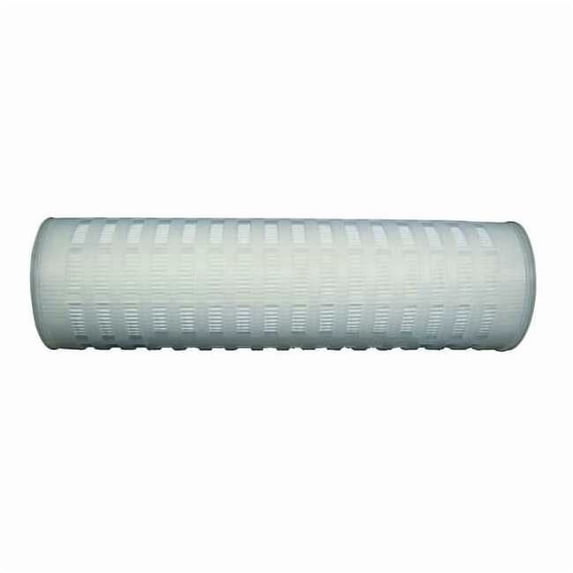 Pleated Filter Cartridge, 70 gpm, 0.2 Micron, 2-3/4" O.D., 10 in H PG-10110-002-01