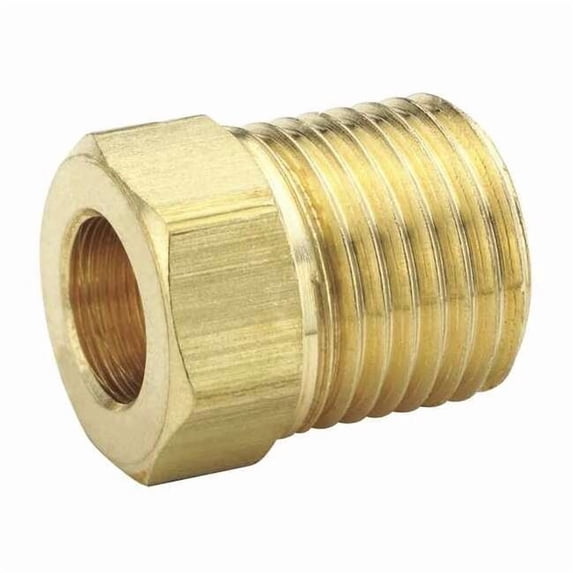 Parker 5/16" Inverted Flare x MNPS Brass Flare Nut 10PK 41IF-5