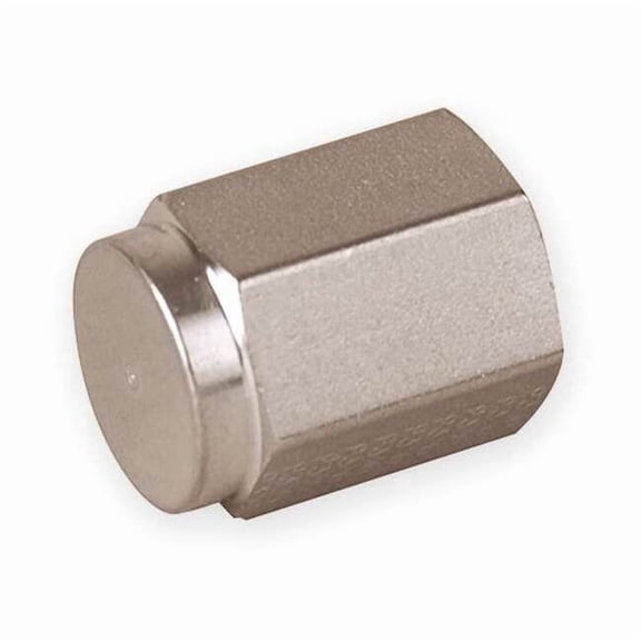 Cap, Stainless Steel, Threaded 1/2 in 8 CP-SS