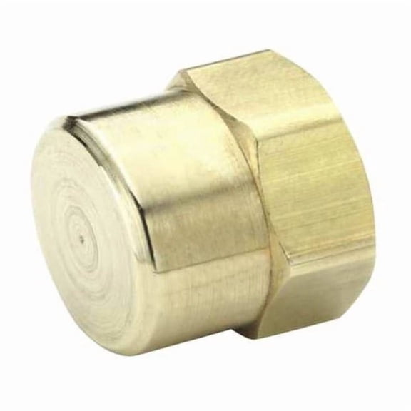 Brass Dryseal Pipe Fitting, FNPT, 3/8" Pipe Size 213P-6