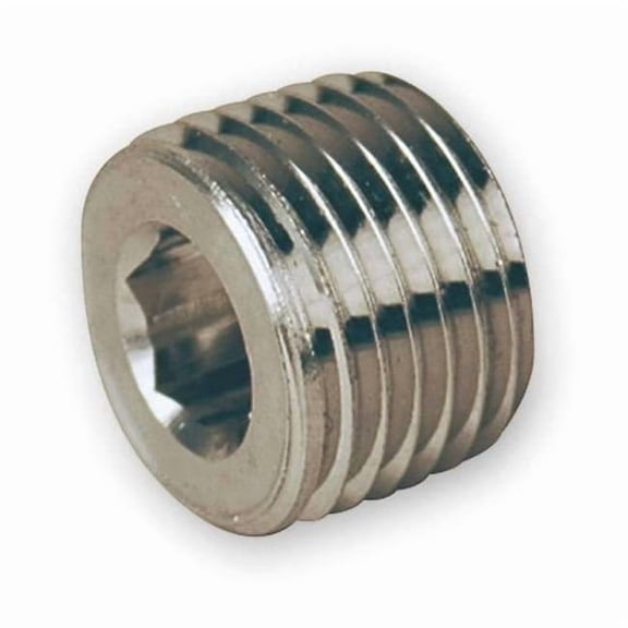 Parker 1/8" MNPT 316 SS Hollow Hex Plug 2 PHH-SS