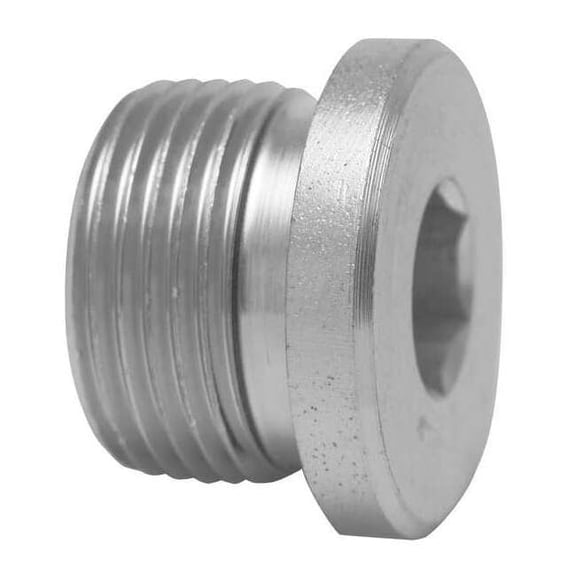 Parker Hollow Hex Plug,M27 x 2,Metric VSTI27X2EDCF