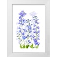 thumbnail image 1 of Parker, Jacky 11x14 White Modern Wood Framed Museum Art Print Titled - Delphinium, 1 of 4