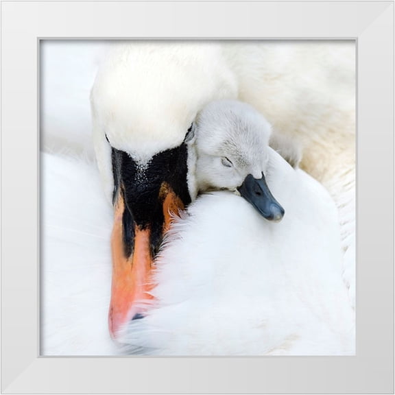 Parker, Jacky 12x12 White Modern Wood Framed Museum Art Print Titled - A Mothers Love