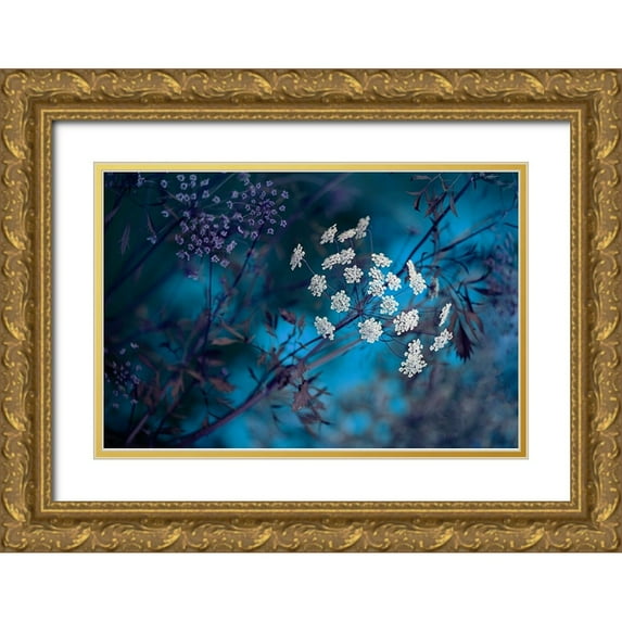 Parker, Jacky 14x11 Gold Ornate Wood Framed with Double Matting Museum Art Print Titled - Queen AnneS Lace