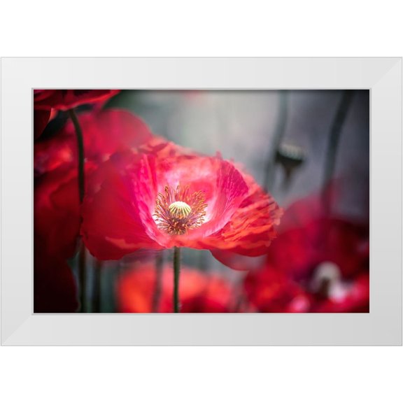 Parker, Jacky 14x11 White Modern Wood Framed Museum Art Print Titled - In The Shadows