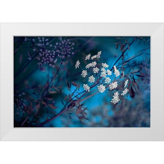 Parker, Jacky 14x11 White Modern Wood Framed Museum Art Print Titled - Queen AnneS Lace