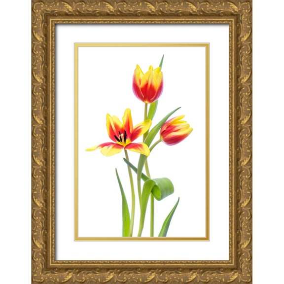 Parker, Jacky 17x24 Gold Ornate Wood Framed with Double Matting Museum Art Print Titled - Spring
