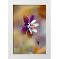 thumbnail image 1 of Parker, Jacky 17x24 White Modern Wood Framed Museum Art Print Titled - Columbine, 1 of 4