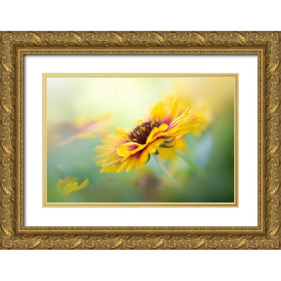 Parker, Jacky 18x13 Gold Ornate Wood Framed with Double Matting Museum Art Print Titled - Gaillardia