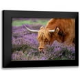 thumbnail image 1 of Parker, Jacky 24x17 Black Modern Framed Museum Art Print Titled - Highland Graze, 1 of 5